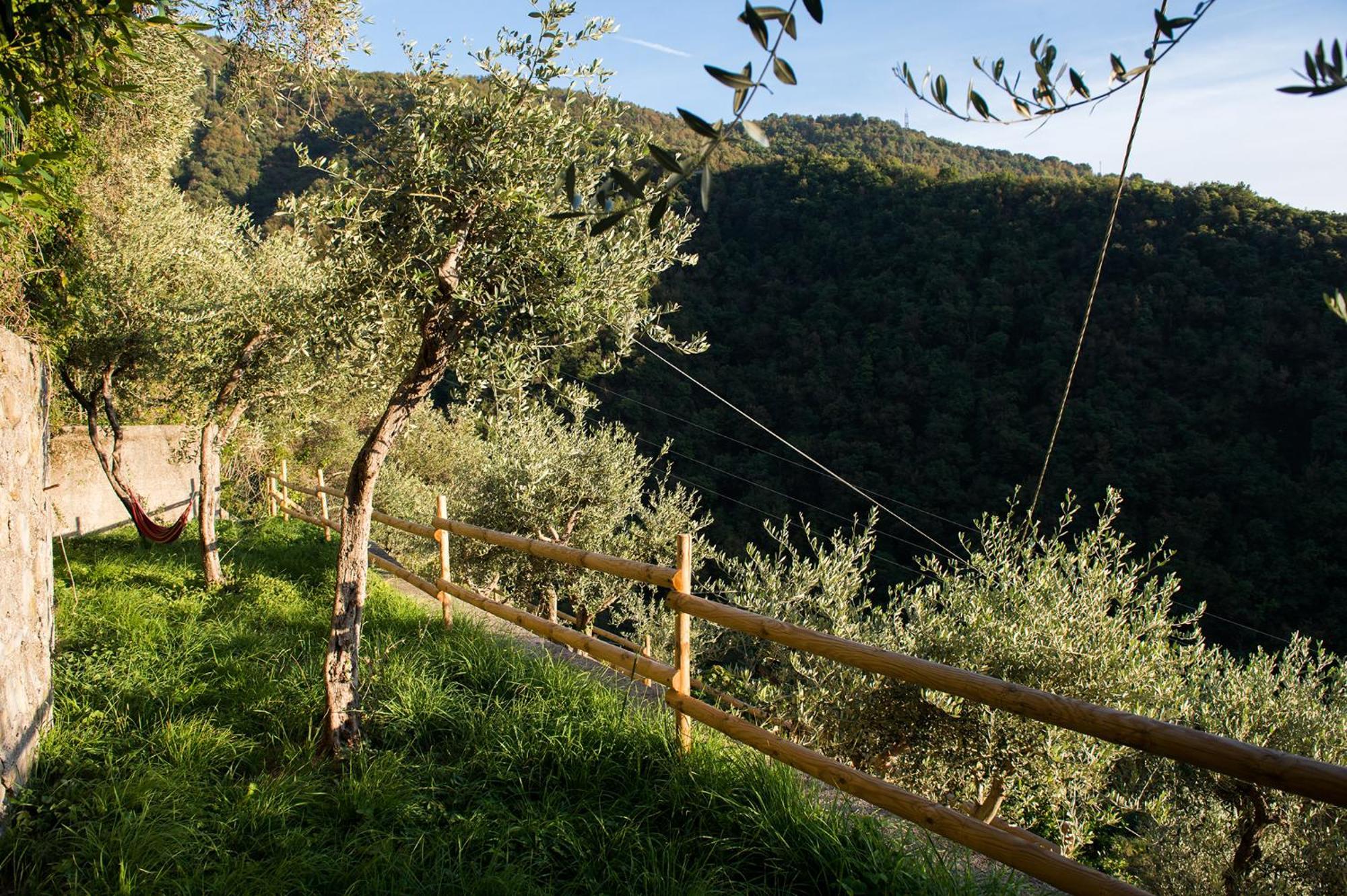Re Dream Suite A Tema - Rapallo Exterior photo